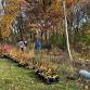 LaBagh Woods Stewardship Workday — Chicago event image