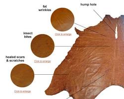 Cowhide leather with natural markings