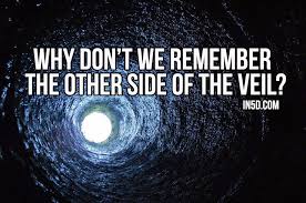 Why Don T We Remember The Other Side Of The Veil In5d In5d
