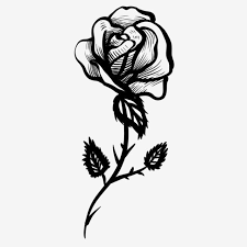 Rose Tatu Mawar Bunga Tattoo Png Dan Psd Tato Bunga Tato Kecil Ilustrasi Tato