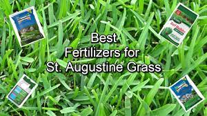 6 Best Fertilizer For St Augustine Grass Greener Lusher Lawn