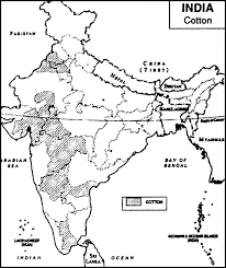 Tea was originally a chinese export first traded by the east india company in 1685 from canton (up river from macao) and the trade was in 1750 a more valuable revenue stream than all of india. Mention The Important Cotton Growing Areas In India Show Them On The Map Of India From Geography Land Resources And Agriculture Class 12 Cbse