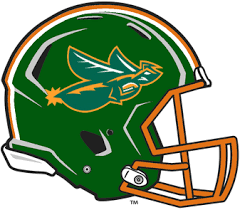 Saginaw Sting Football Helmet Design Football Helmets Washington Football