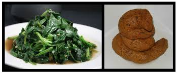 images?q=tbn:ANd9GcSfRV5dmm00eLMCbHwYtXAbvXXzh6K4ijj1Aiw7ohM7GtY-RXuM9g