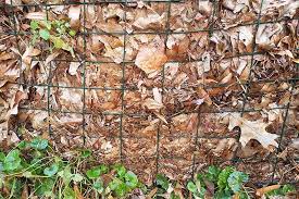 How To Use Leaves For Compost And Mulch Gardener S Path
