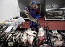 Оптовый рынок сельскохозяйственной продукции столичный (kyivopt.com) современная площадка оптовой. Foto Prodazha Ryby Unian