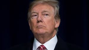 Trump slams 'fake dossier' despite some verified claims