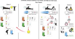 They also describe how and when to access medical care. The Development And Comprehensibility Of A Pictorial Asthma Action Plan Sciencedirect