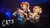 Cats film completo (2019) è disponibile, come sempre in repelis. Cats Official Trailer Hd Youtube