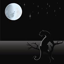 This is one of those discussions between astrologers where everyone has an preference and opinion. Astrology Of Me Too Black Moon Lilith The Galactic Center Dk Brainard