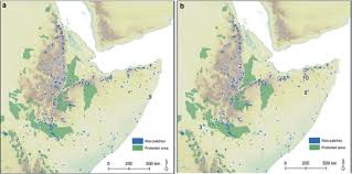 Image result for Antherotoma densiflora