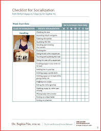 During the first three month's of your puppy's life, he will experience a socialization period that will help shape his future personality. Pin On Favorite Dog Stuff