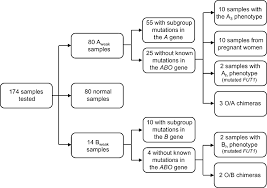 Many Genetically Defined Abo Subgroups Exhibit