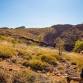 Lake Argyle Adventure Race event image