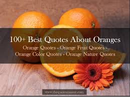 100 Best Quotes About Oranges