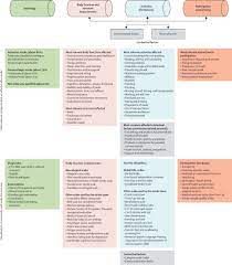 Classification of subtype of acute ischemic stroke. Stroke Rehabilitation The Lancet