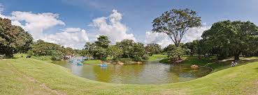 Image result for parque