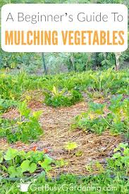 Get Tips For Mulching A Vegetable Garden Including The Benefits Of Mulching Vegetables When T Mulch For Vegetable Garden Garden Mulch Vegetable Garden Planner