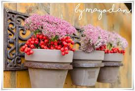 Herbst Vor Dem Haus Garten Pflanzen Und Haus