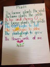 Plants Song Kindergarten Plant Song Plants Kindergarten Teaching Plants