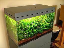 Buy products such as aqueon 48 fluorescent deluxe black hood at walmart and save. Pin On Aquarium