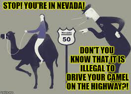 4 in maine, a passenger who allowed a drunken person to drive his truck was convicted as an accomplice to the crime of driving under the influence of alcohol. If Going To Nevada Leave Your Camels At The Garage Ludicrous Laws Week April 1 7th A Lordcheesus Katechuks And Sydneyb Event Imgflip