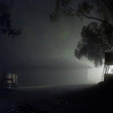 Misty Magpie Springs Adelaide Hills Wine Region Fleurieu Peninsula Southaustralia Fleurieupeninsula Adelaidehills Nigh Wine Region Misty Night Misty