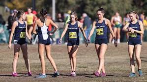 22 CROSS COUNTRY PREVIEW