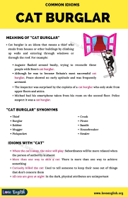 Cat Burglar Do You Know The Meaning Of This Popular Idiom Love English In 2020 Idioms Infographic Meaning Burglar