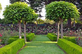 25 bilder in der galerie. Gartenbau Braunschweig Umgestaltung Garten Neuanlage Pg Gruppe