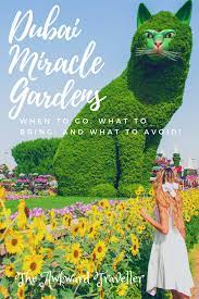 Visiting The Dubai Miracle Gardens Is It Even Worth It Tho Miracle Garden Dubai Dubai Destinations