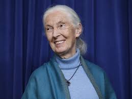 Jane Goodall encourages all to act to save Earth in 'The Book of Hope'