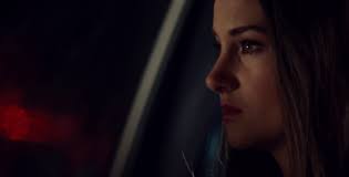 Uttrykksfulle ujevnheter: White Bird in a Blizzard