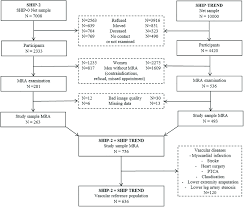 Study Sample Flow Chart The Development Of The Whole Mra