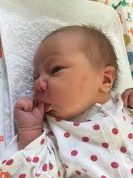 University of Cambridge Centre for Family Research Annual report 2016-2017