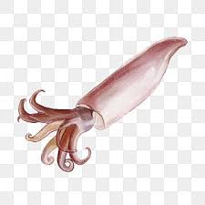 0 watchers885 page views10 deviations. Pin Di Design