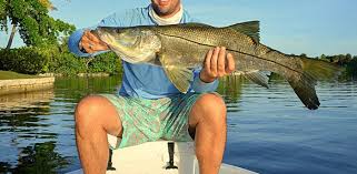I explain how to rig your line when fishing for snook and demonstrate how to catch them. 7 Best Places For Snook Fishing In Florida Reel Pursuits