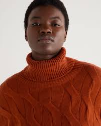 Shop rust orange turtleneck New Arrivals Basic Color Turtleneck Burnt  Orange Delfina Balda Shop the official site