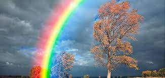 المراجع الطّيف الطّيف مُصطلحٌ عام يُشير إلى عدّة تعريفات، Rabahieh Ù‚ÙˆØ³ Ø§Ù„Ù‚Ø²Ø­ Rainbow Ø§Ù„Ù…Ù‡Ù†Ø¯Ø³ Ø¬ÙˆØ±Ø¬ ÙØ§Ø±Ø³ Ø±Ø¨Ø§Ø­ÙŠØ© Ù‚ÙˆØ³ Facebook