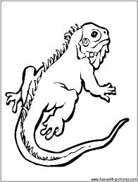 The original format for whitepages was a p. Gecko Coloring Page