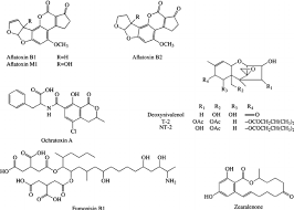 Molecular Structures Of The Main Mycotoxins Download Scientific Diagram