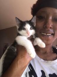 Free kittens 3 months old 1 boy 2 girls