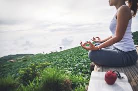 Portland is home to a few yoga centers offering classes in bikram and other yoga traditions. Ayurvedic Yoga Climb Center At Pcc