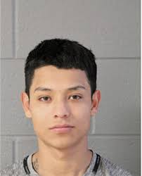 ᐅ Illinois Criminal Records 2009-2025