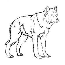 Search through 623,989 free printable colorings at getcolorings. Print Download Wolf Coloring Pages Theme