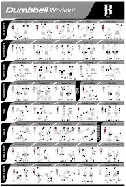 41 complete total gym exercise