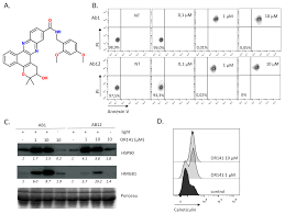 mesothelioma is an aggressive, incurable form of cancer caused by ongoing exposure to asbestos. Cancers Free Full Text Photodynamic Therapy Based Dendritic Cell Vaccination Suited To Treat Peritoneal Mesothelioma Html