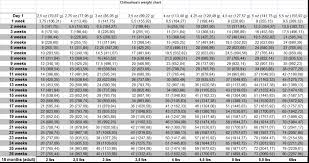 Image Result For Metric Weight Chart For Chihuahua Weight