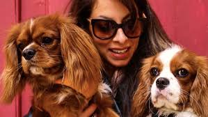 Pet Nutrition Diploma + Bonus Pet First Aid Manual