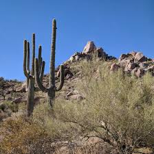 Maybe you would like to learn more about one of these? Seeing And Being Seen On The Pinnacle Peak Trail In North Scottsdale Arizona Meserve Reserve